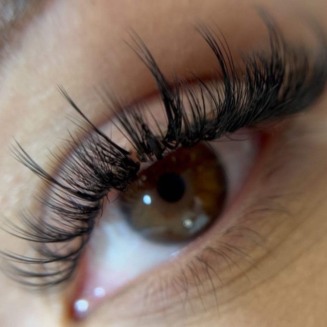 wimpern & augenbrauen magdeburg